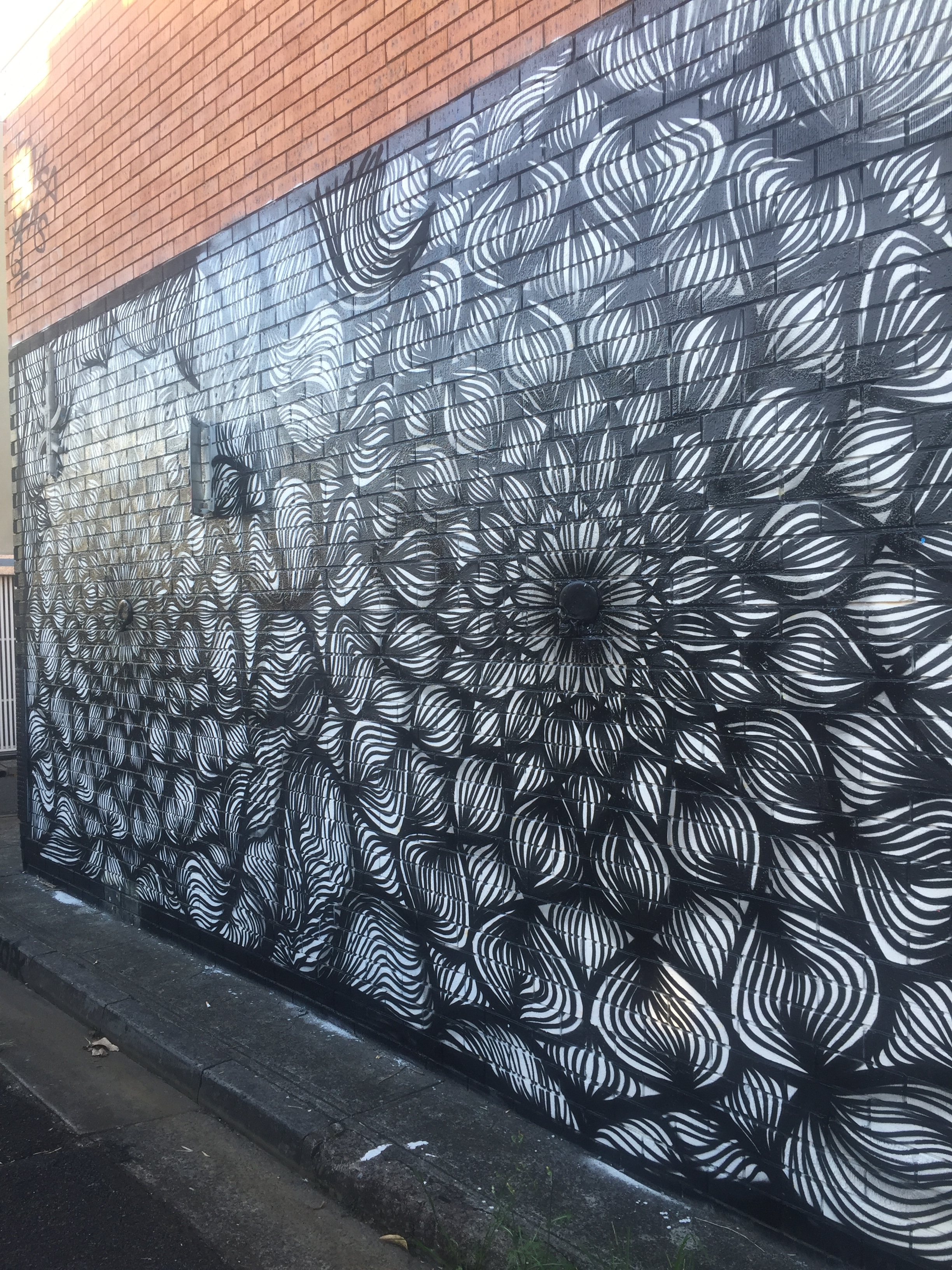 Will &amp; Unknown Feb 16 Newtown